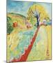 The Red Fence, Granna-Sigrid Hjerten-Mounted Premium Giclee Print