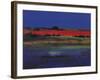 The Red Field-Paul Evans-Framed Giclee Print