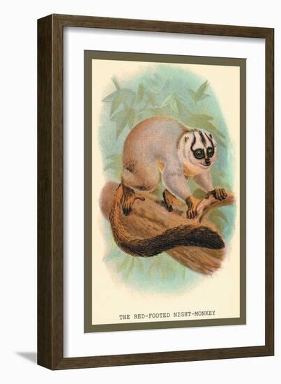 The Red-Footed Night-Monkey-Sir William Jardine-Framed Art Print