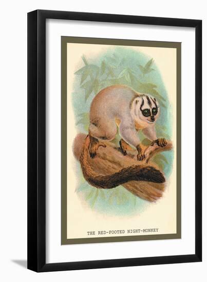 The Red-Footed Night-Monkey-Sir William Jardine-Framed Art Print