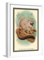 The Red-Footed Night-Monkey-Sir William Jardine-Framed Art Print