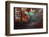 The RED Forest-Leif Løndal-Framed Photographic Print