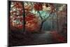 The RED Forest-Leif Løndal-Mounted Photographic Print