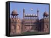 The Red Fort, Delhi, India-John Henry Claude Wilson-Framed Stretched Canvas