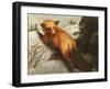 The Red Fox, 1870-Abbott Handerson Thayer-Framed Giclee Print