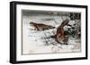 The Red Fox by Alfred Edmund Brehm-Stefano Bianchetti-Framed Giclee Print