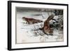 The Red Fox by Alfred Edmund Brehm-Stefano Bianchetti-Framed Giclee Print