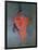 The Red Head, circa 1915-Amedeo Modigliani-Framed Giclee Print