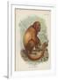 The Red Howler-null-Framed Giclee Print