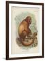 The Red Howler-null-Framed Giclee Print