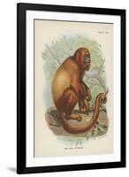 The Red Howler-null-Framed Giclee Print