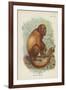 The Red Howler-null-Framed Giclee Print