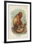 The Red Howler-null-Framed Giclee Print