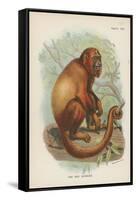 The Red Howler-null-Framed Stretched Canvas