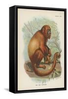 The Red Howler-null-Framed Stretched Canvas