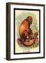 The Red Howler-G.r. Waterhouse-Framed Art Print