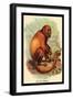 The Red Howler-G.r. Waterhouse-Framed Art Print