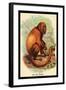 The Red Howler-G.r. Waterhouse-Framed Art Print