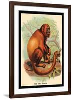 The Red Howler-G.r. Waterhouse-Framed Art Print