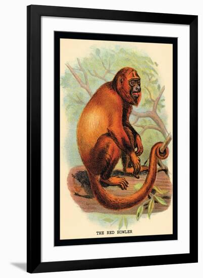 The Red Howler-G.r. Waterhouse-Framed Art Print