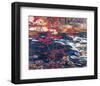 The Red Maple-A^ Y^ Jackson-Framed Premium Giclee Print