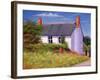 The Red Milk Churn, 2003-Anthony Rule-Framed Giclee Print