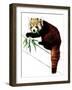 The Red Panda on White, 2020, (Pen and Ink)-Mike Davis-Framed Giclee Print