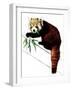 The Red Panda on White, 2020, (Pen and Ink)-Mike Davis-Framed Giclee Print