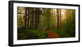 The Red Path-Leif Løndal-Framed Photographic Print