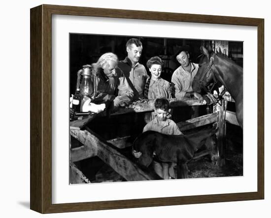 The Red Pony, Louis Calhern, Shepperd Strudwick, Myrna Loy, Peter Miles, Robert Mitchum, 1949-null-Framed Photo