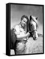 The Red Pony, Peter Miles, 1949-null-Framed Stretched Canvas