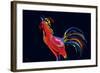 The Red Rooster-Rabi Khan-Framed Art Print