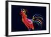 The Red Rooster-Rabi Khan-Framed Art Print