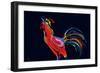 The Red Rooster-Rabi Khan-Framed Premium Giclee Print