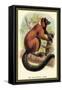 The Red-Ruffed Lemur-Sir William Jardine-Framed Stretched Canvas