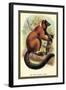 The Red-Ruffed Lemur-Sir William Jardine-Framed Art Print