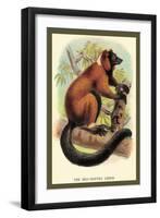 The Red-Ruffed Lemur-Sir William Jardine-Framed Art Print