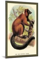 The Red-Ruffed Lemur-Sir William Jardine-Mounted Art Print