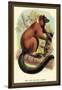 The Red-Ruffed Lemur-Sir William Jardine-Framed Art Print