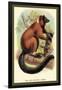 The Red-Ruffed Lemur-Sir William Jardine-Framed Art Print