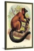 The Red-Ruffed Lemur-Sir William Jardine-Stretched Canvas