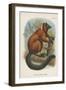 The Red-Ruffed Lemur-null-Framed Giclee Print