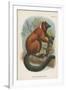 The Red-Ruffed Lemur-null-Framed Giclee Print