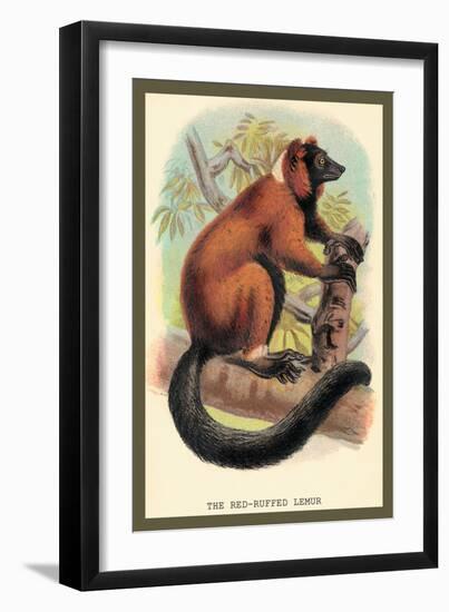 The Red-Ruffed Lemur-Sir William Jardine-Framed Art Print