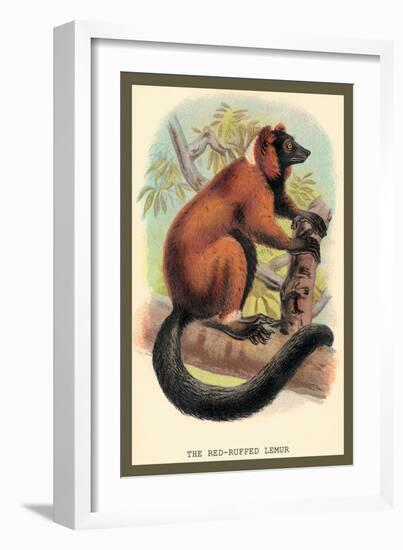 The Red-Ruffed Lemur-Sir William Jardine-Framed Art Print