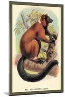 The Red-Ruffed Lemur-Sir William Jardine-Mounted Art Print