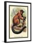 The Red-Ruffed Lemur-Sir William Jardine-Framed Art Print