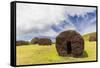 The Red Scoria Quarry at Puna Pau-Michael Nolan-Framed Stretched Canvas