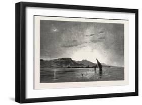 The Red Sea, Egypt, 1879-null-Framed Giclee Print