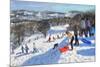 The Red Sledge, Allestree Park, Derby, 2016-Andrew Macara-Mounted Giclee Print